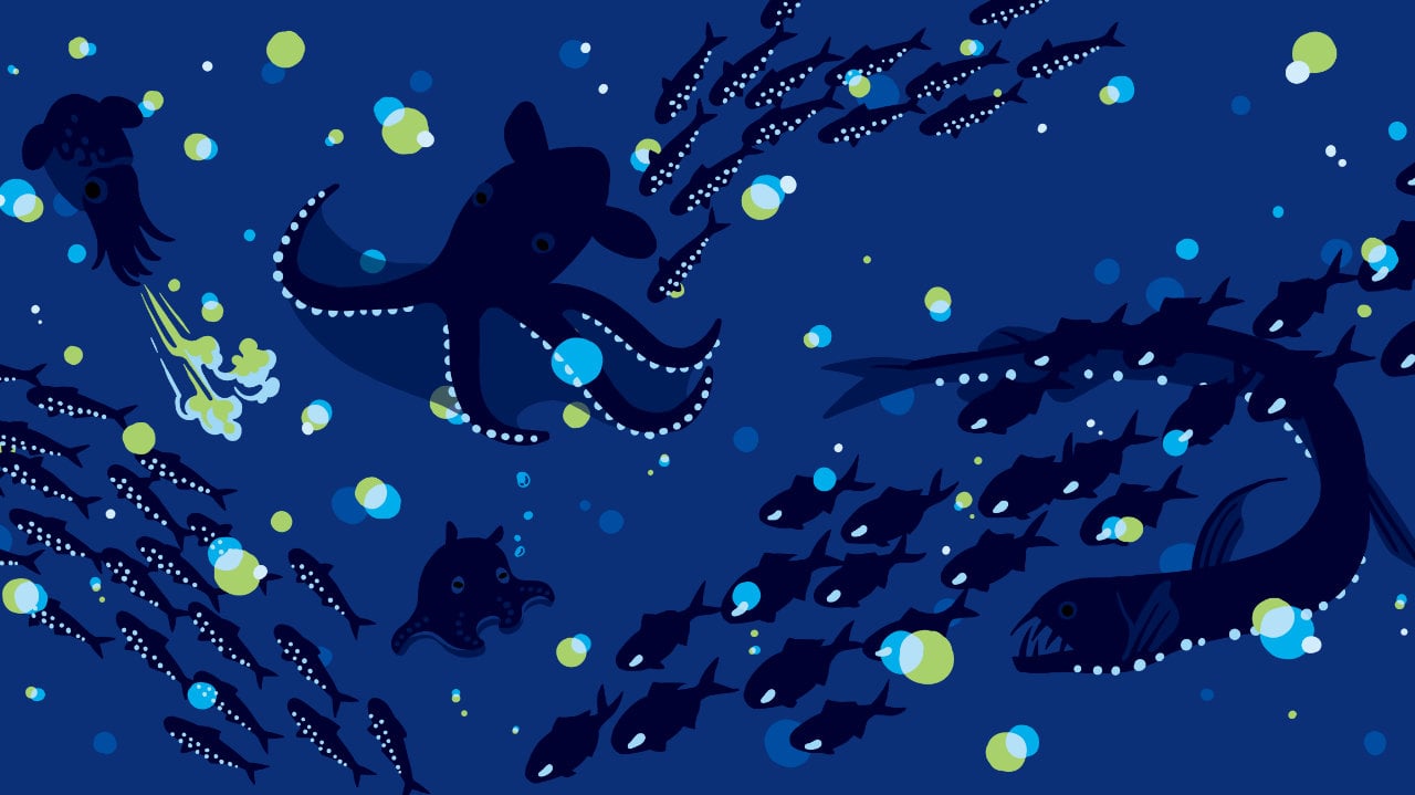 グラニフのえほん ぷかぷかメンダコ｜グラニフ(graniph)公式